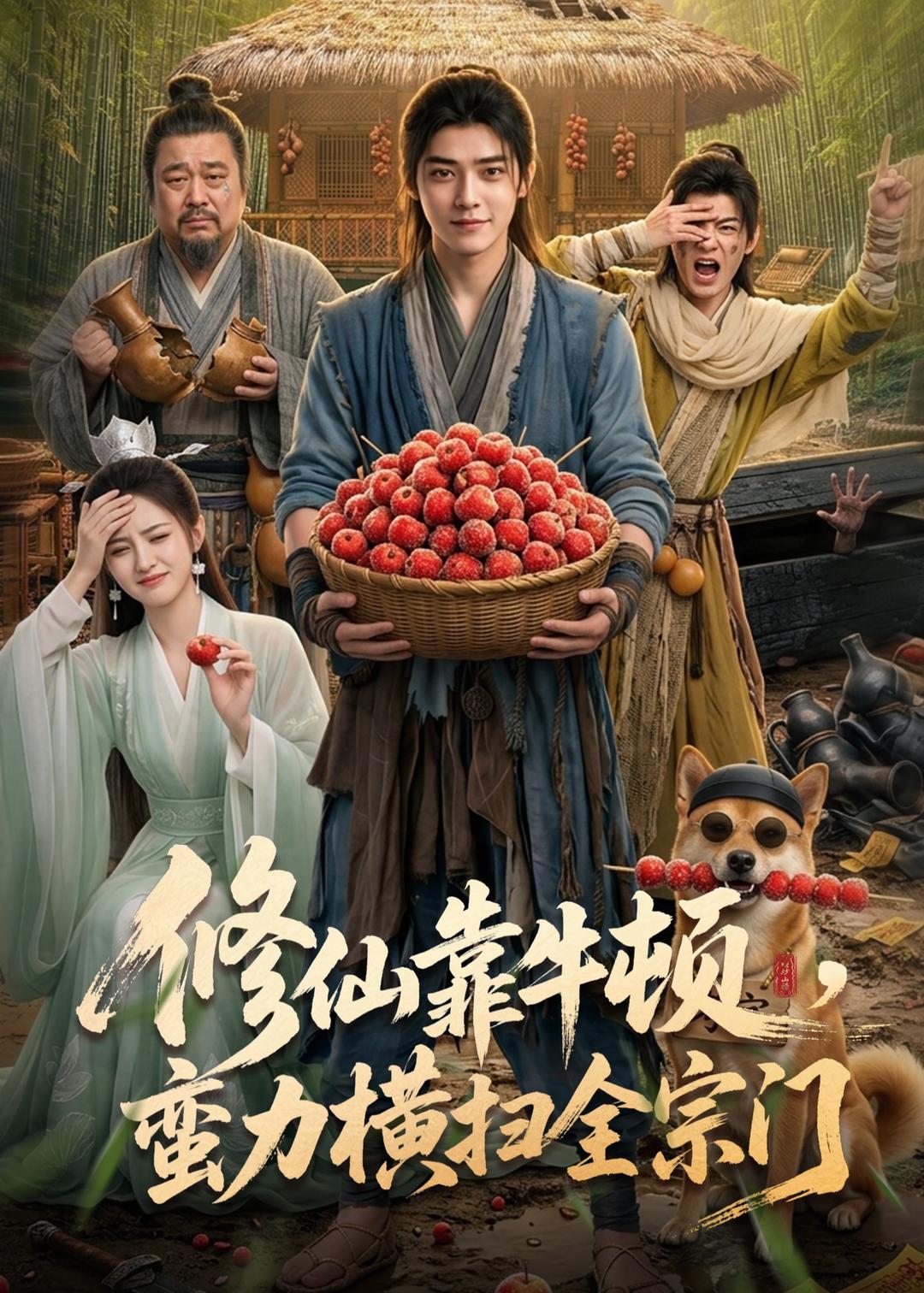 热播榜第十名海报